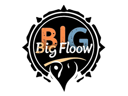 Logo BiG FlooW